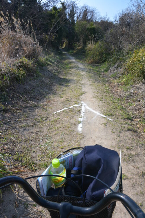 佐久島の道を行く自転車