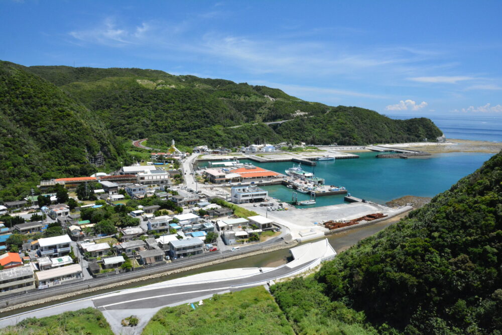 渡嘉敷島の港の見える丘から見た渡嘉敷港