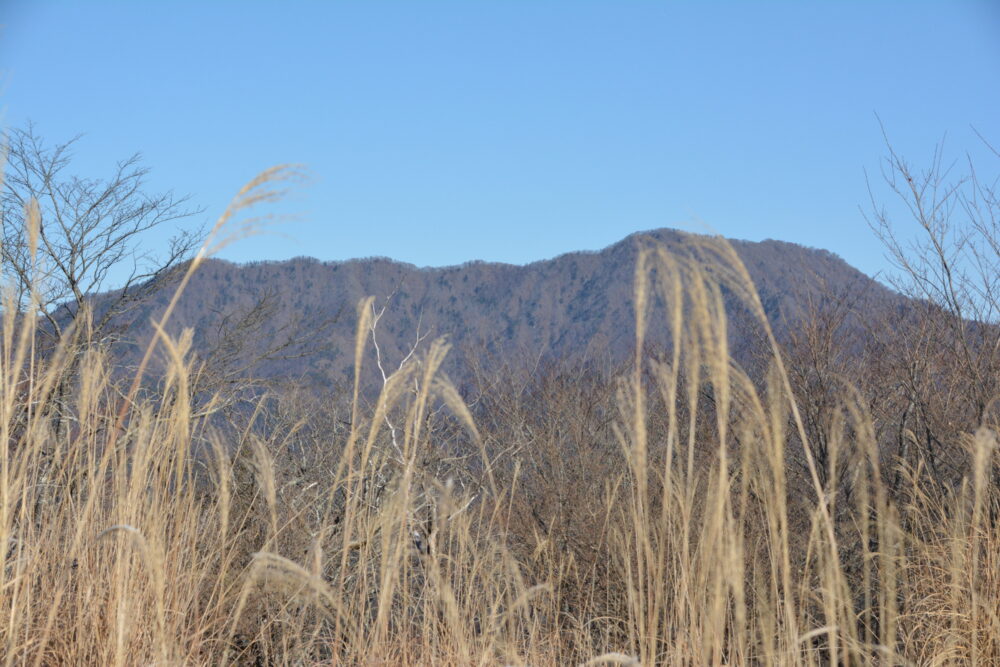 大平山の登山道から見た杓子山