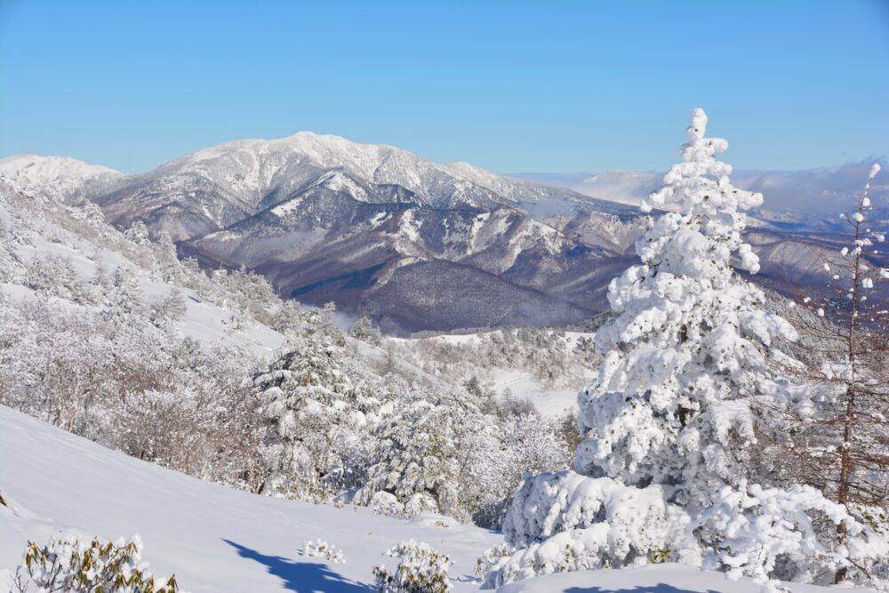 湯ノ丸山から見た四阿山