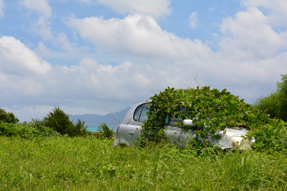 鳩間島の朽ちて草に浸食された車