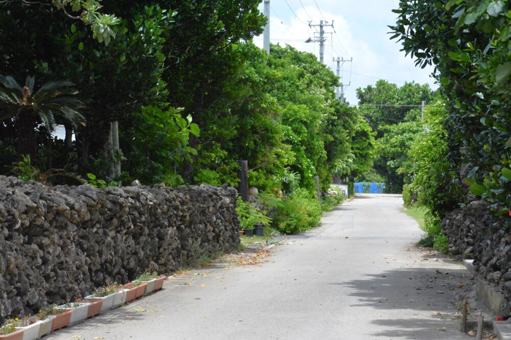 鳩間島の路地