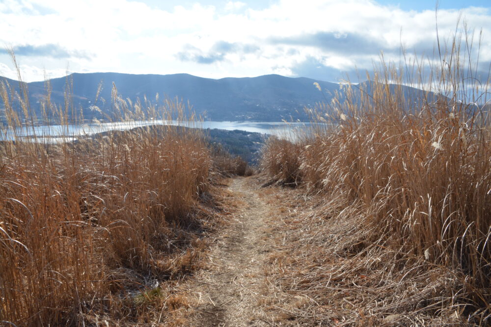 大平山山頂から山中湖方面へ続く登山道