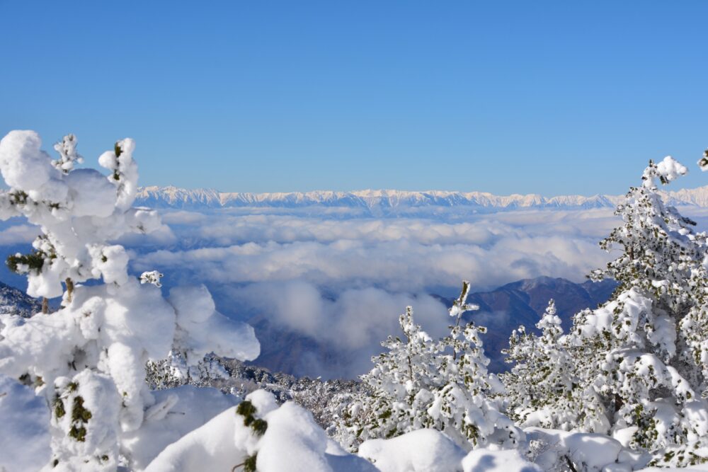 湯ノ丸山山頂の樹氷と北アルプス