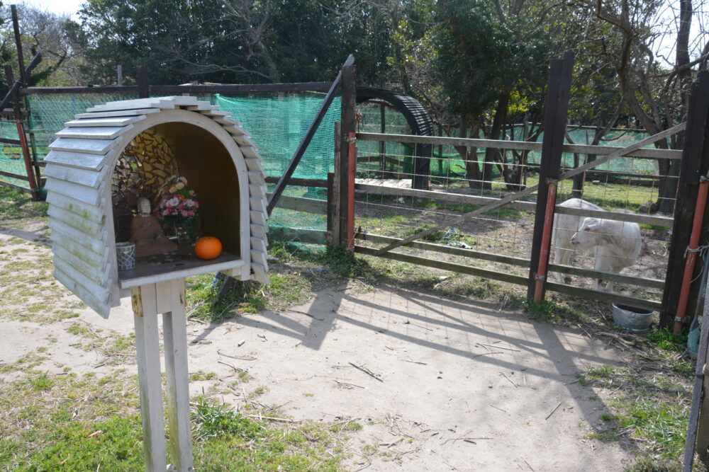 佐久島のヤギ小屋と弘法大師