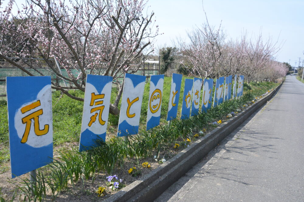 佐久島のフラワーロード