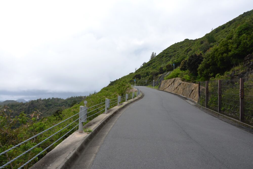 父島の山道