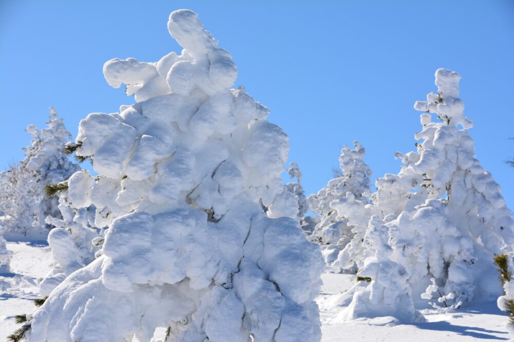 湯ノ丸山山頂の樹氷