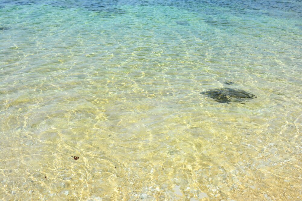 鳩間島の島仲浜の透き通る海