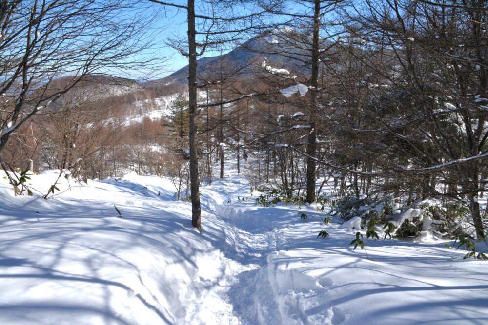 雪の湯ノ丸山の登山道