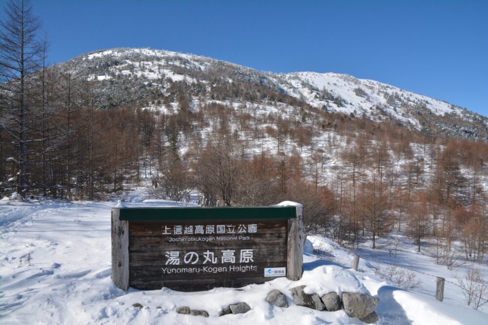 湯の丸高原から見た雪の湯ノ丸山山頂