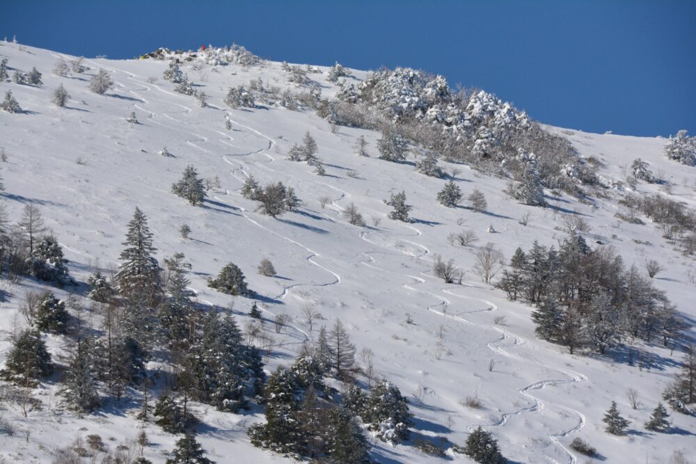 雪の湯ノ丸山山頂から伸びるシュプール