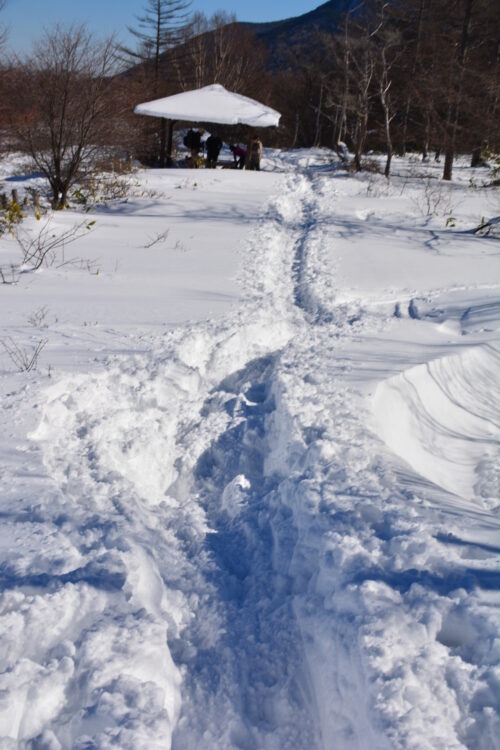 雪の湯ノ丸山の登山道と東屋