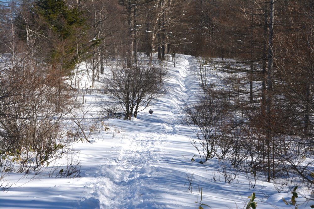 雪の湯ノ丸山の登山道