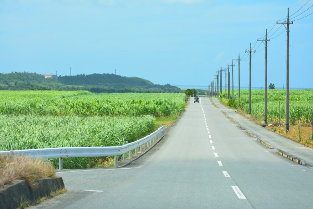 宮古島ののどかな風景