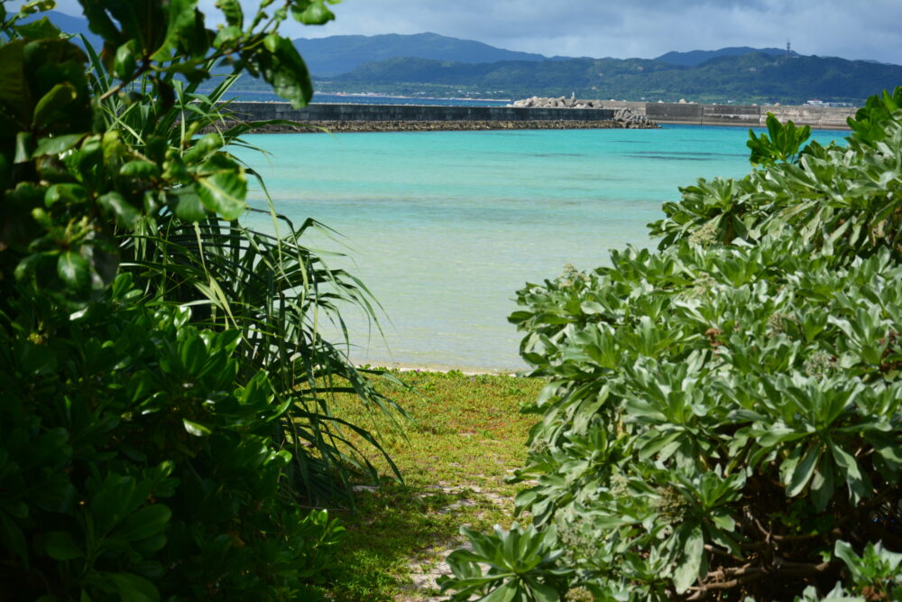 鳩間島の前浜