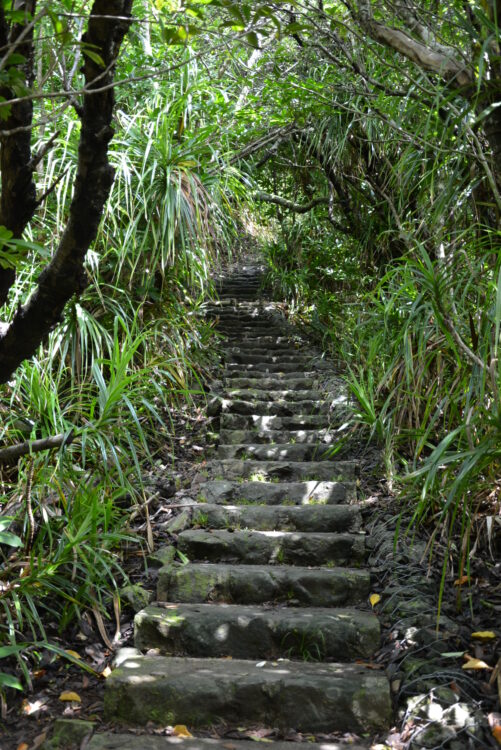 父島・中央山の階段