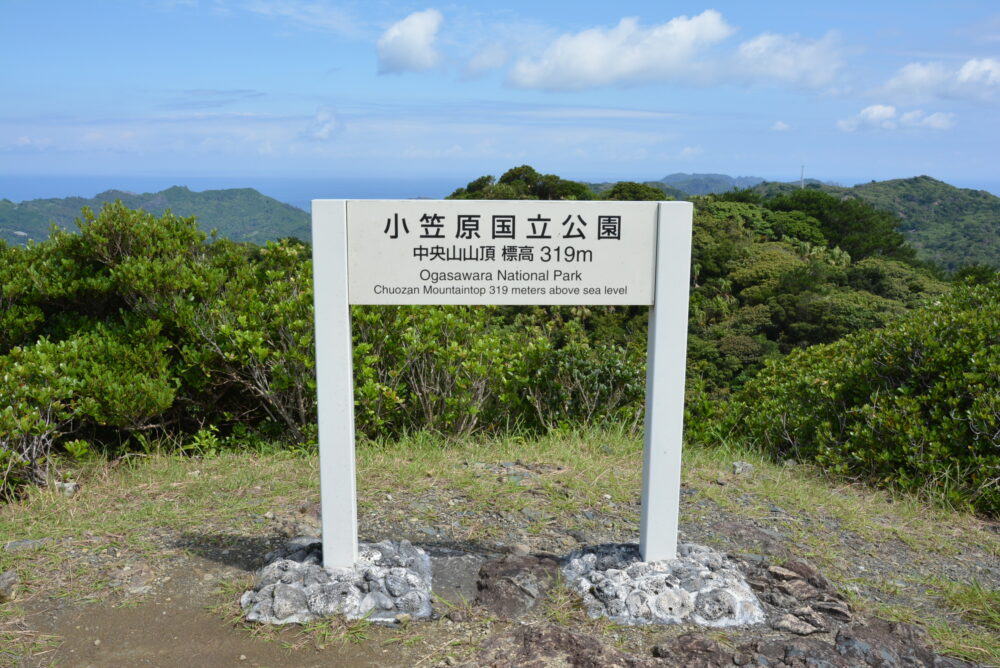 父島・中央山山頂