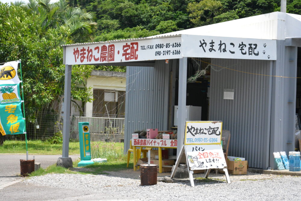 西表島のやまねこ宅配屋