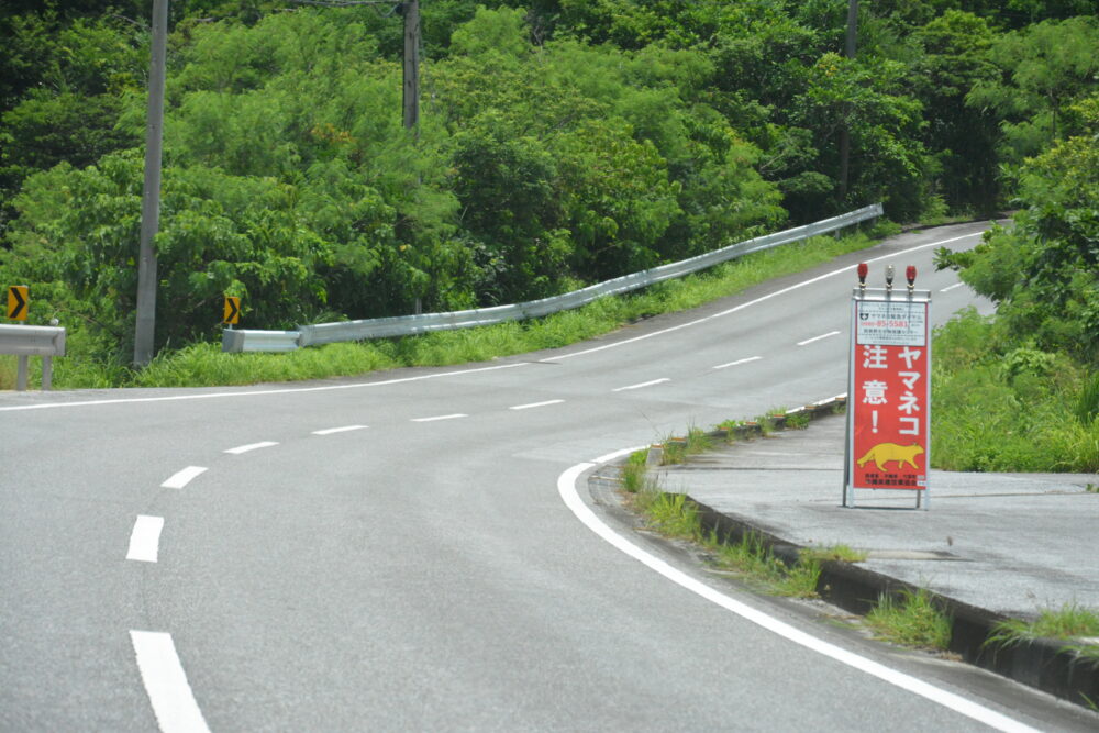 西表島のヤマネコ注意の看板