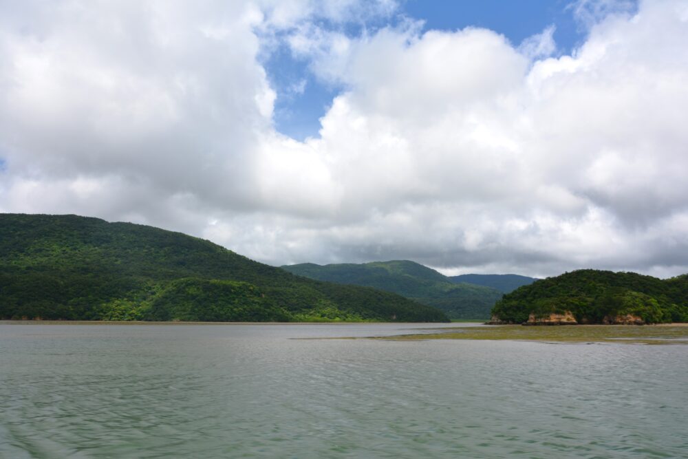 定期船ニューふなうきから見た西表島の景色