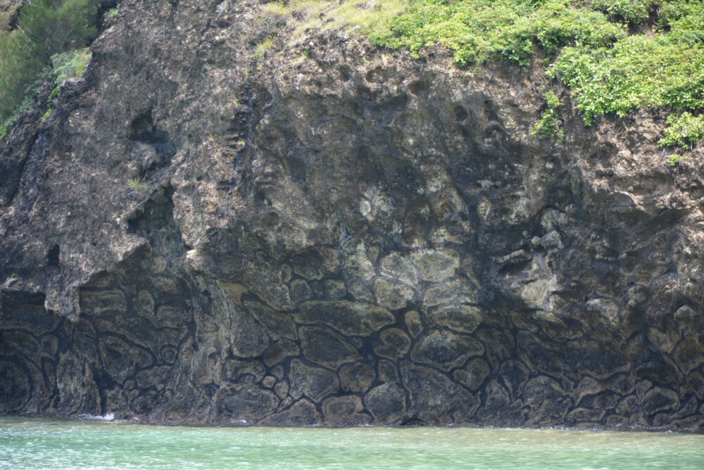 父島の小湊海岸の枕状溶岩