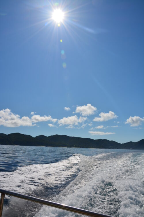 ケラマ航路の渡船みつしまから見た海