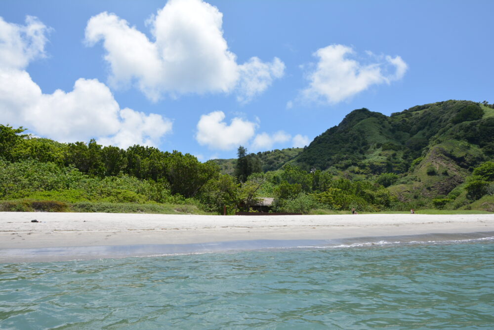 父島の小湊海岸