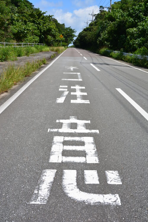 西表島のネコ注意の道路標識