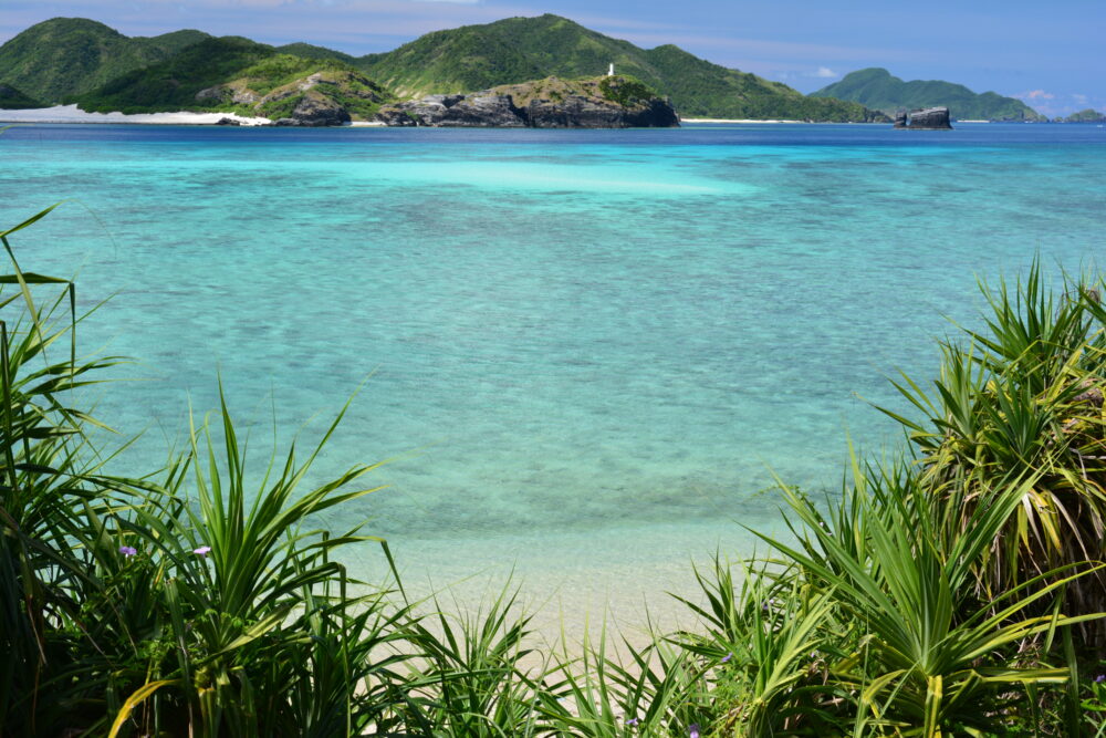 座間味島の綺麗な海