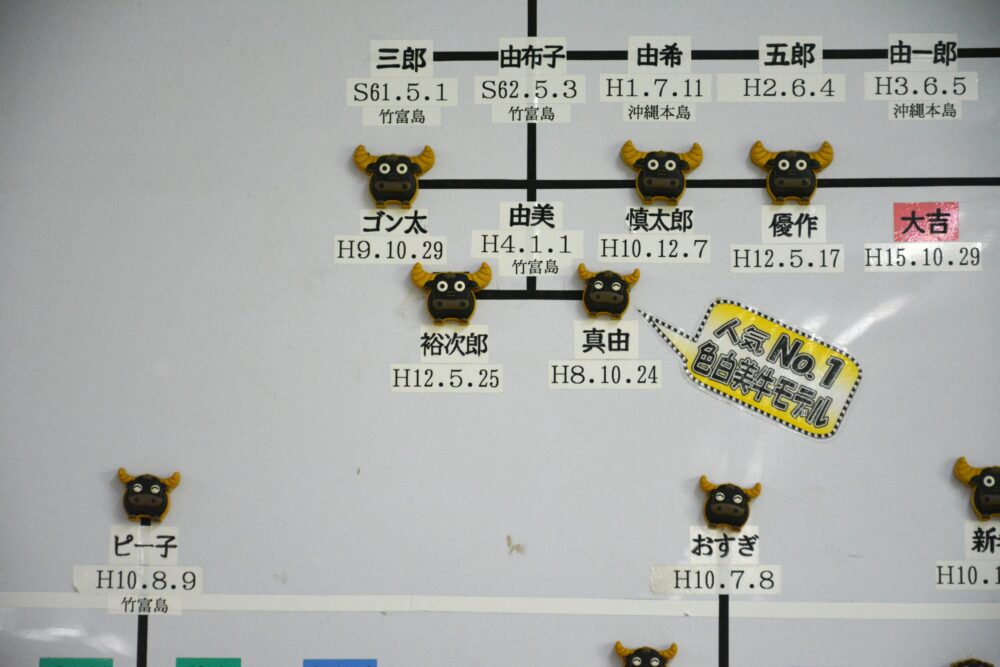 由布島の水牛家系図