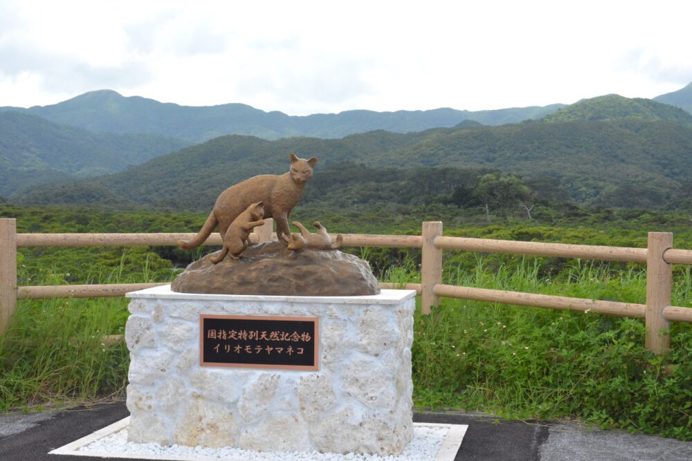 西表島のイリオモテヤマネコの銅像