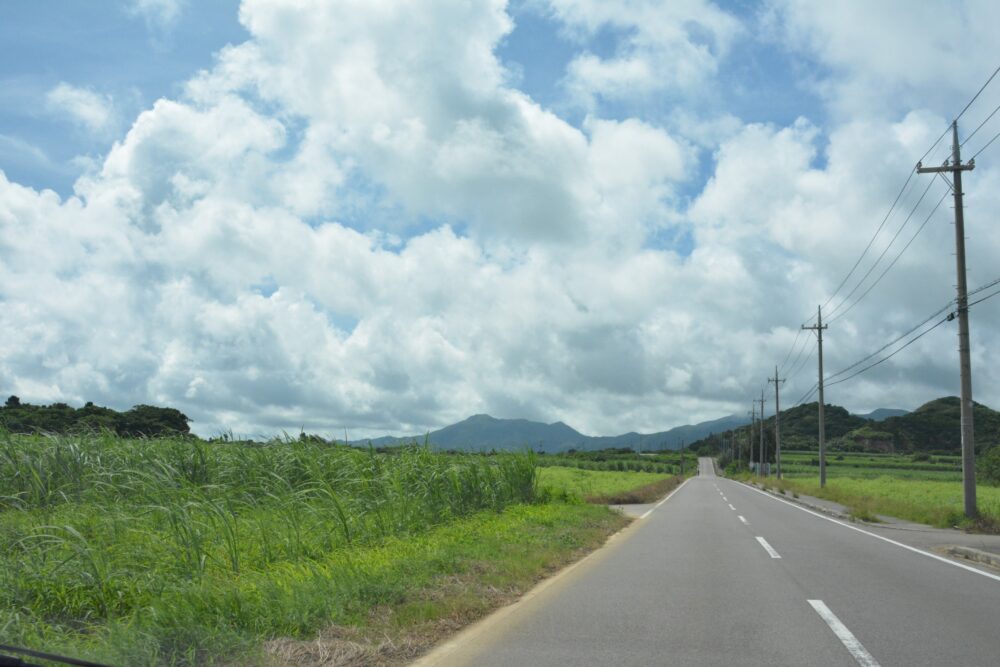 石垣島ののどかな風景