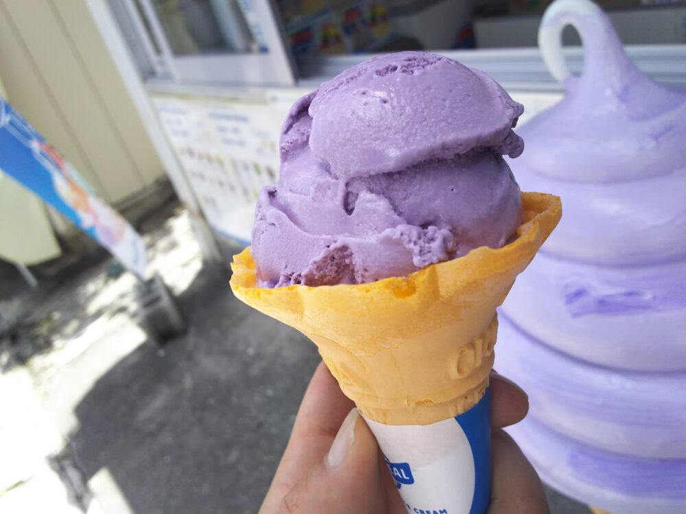 石垣島・川平湾のブルーシールアイス