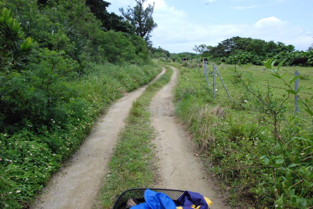 黒島ののどかな景色