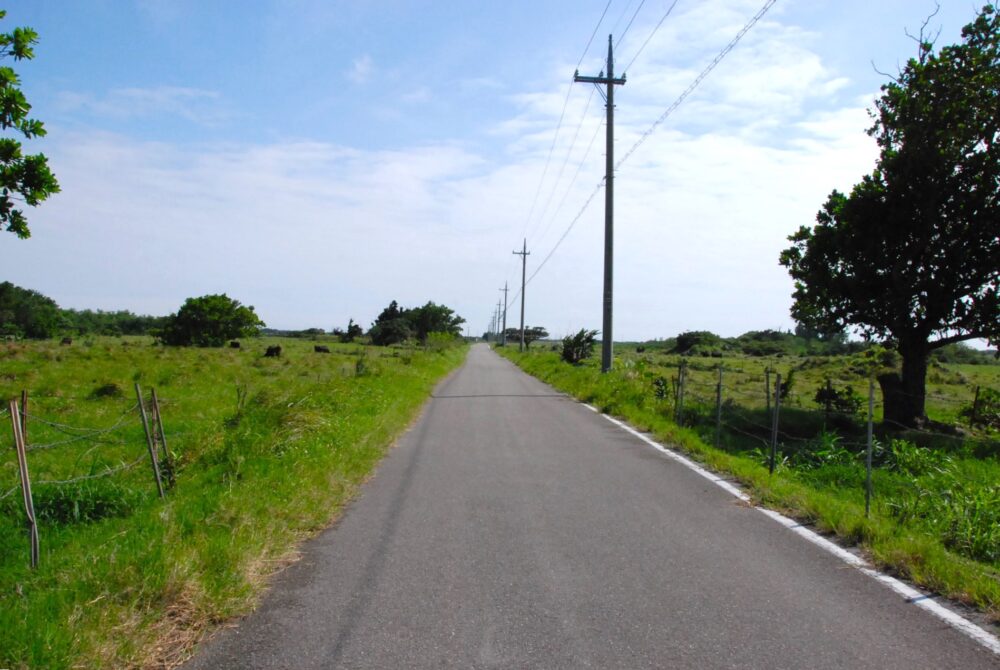 黒島ののどかな風景