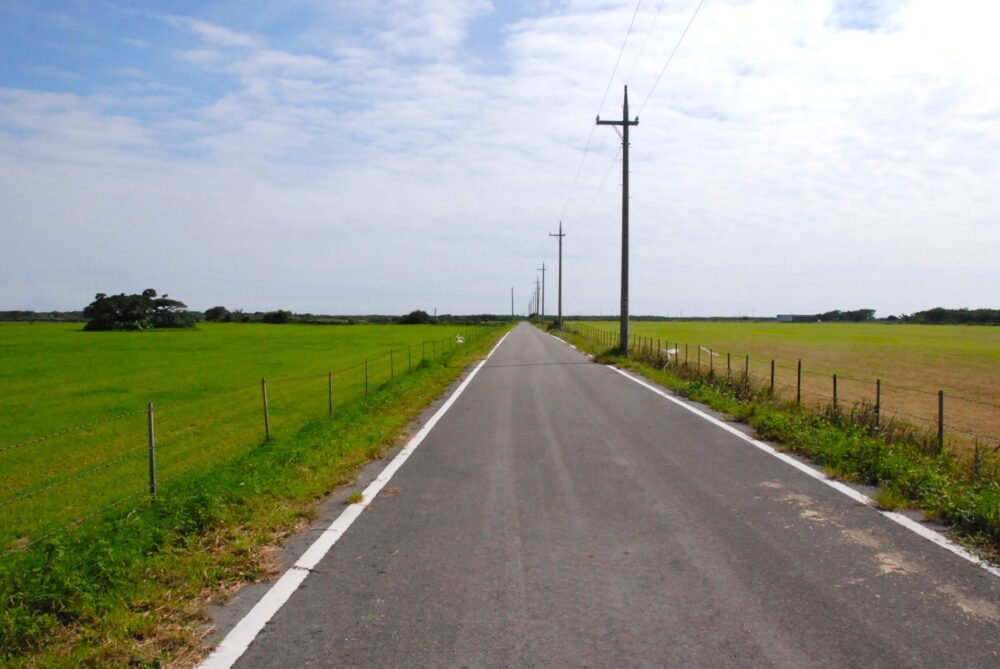 黒島ののどかな道