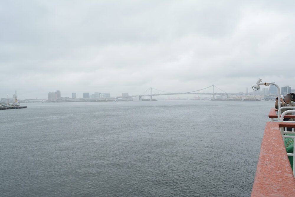 おがさわら丸から見た曇天の東京湾