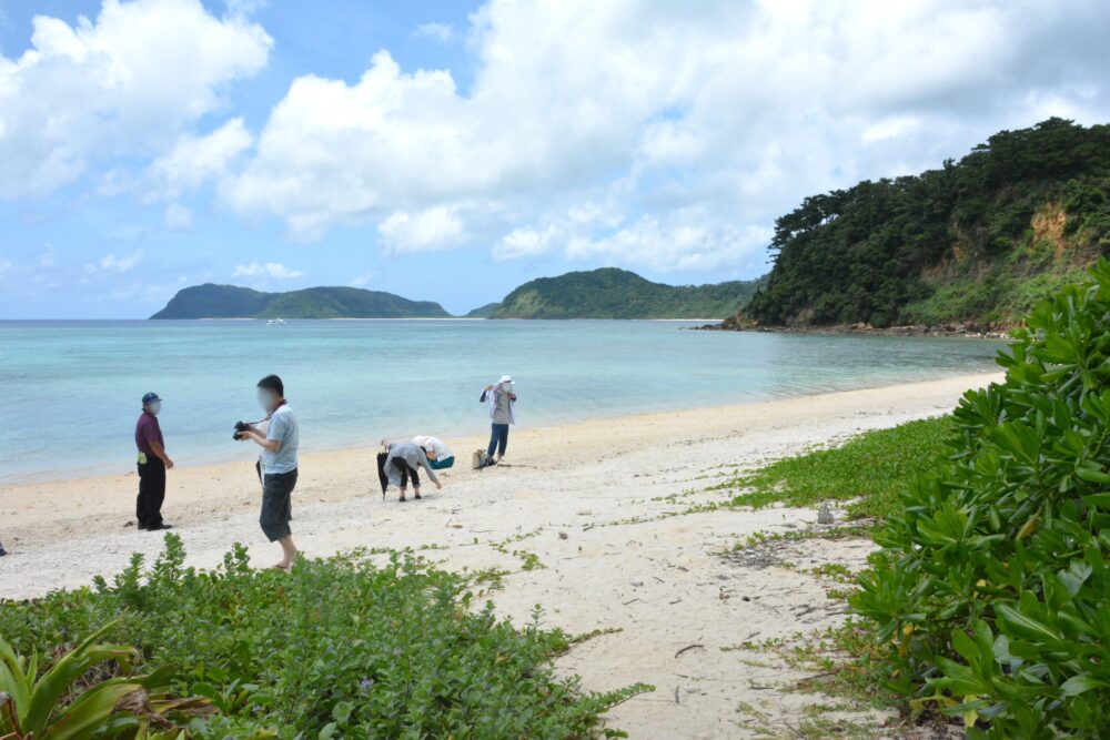 西表島・船浮集落のイダの浜