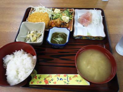 渡嘉敷島・マリンハウス阿波連の夕食