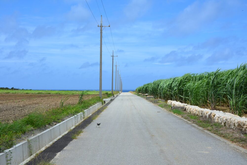 波照間島の道