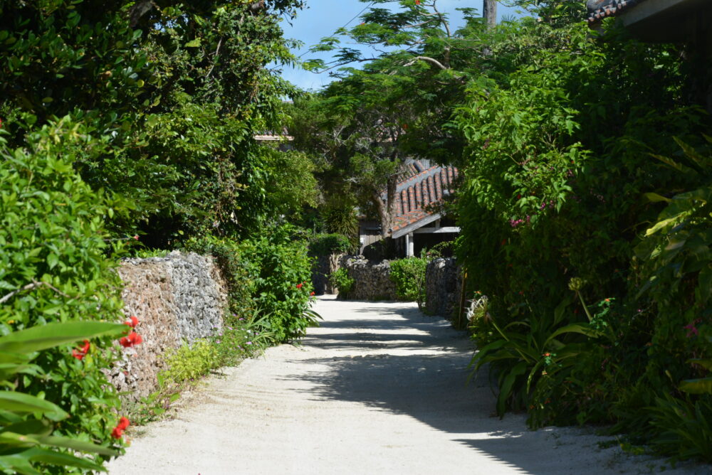 竹富島の路地