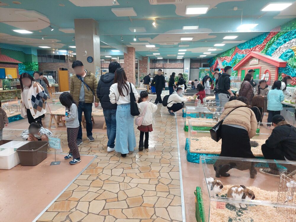 いきもの探検隊上尾店の店内