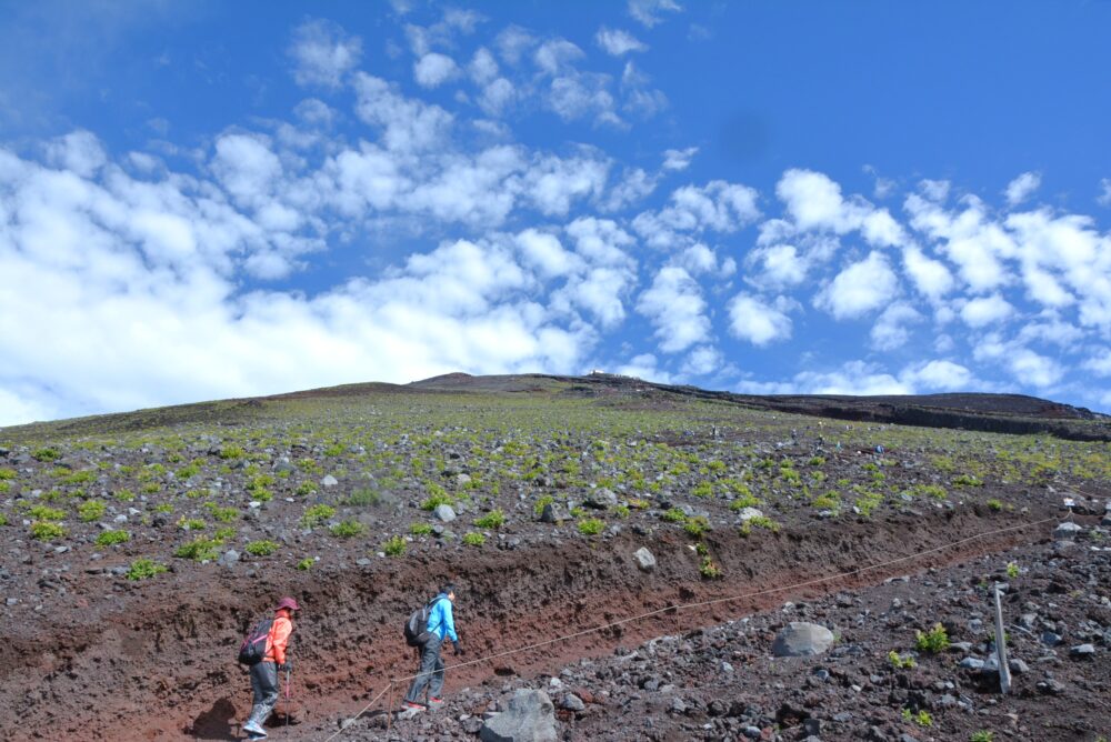 登山をしている人たち