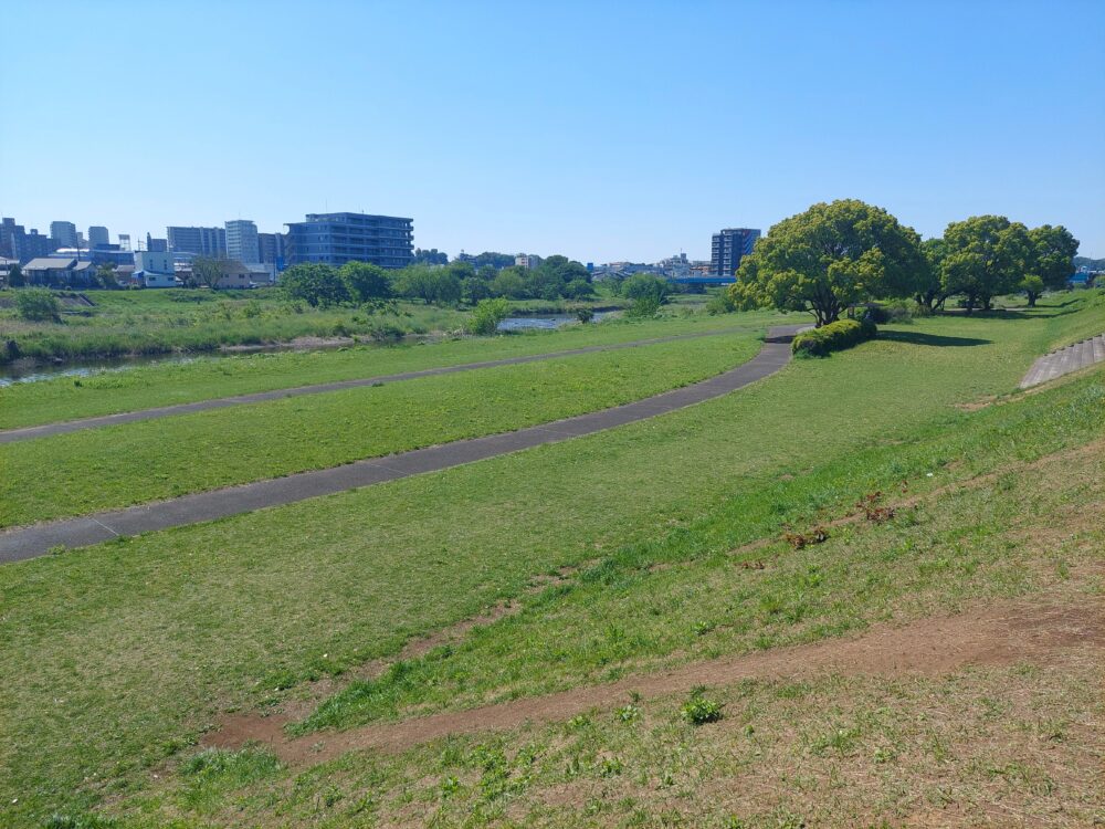 入間川にこにこテラス隣の入間川の土手