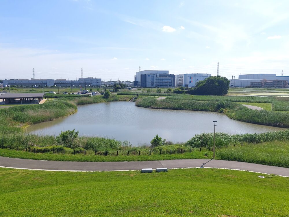 春日部夢の森公園の調整池