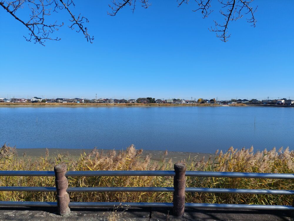 伊佐沼の風景