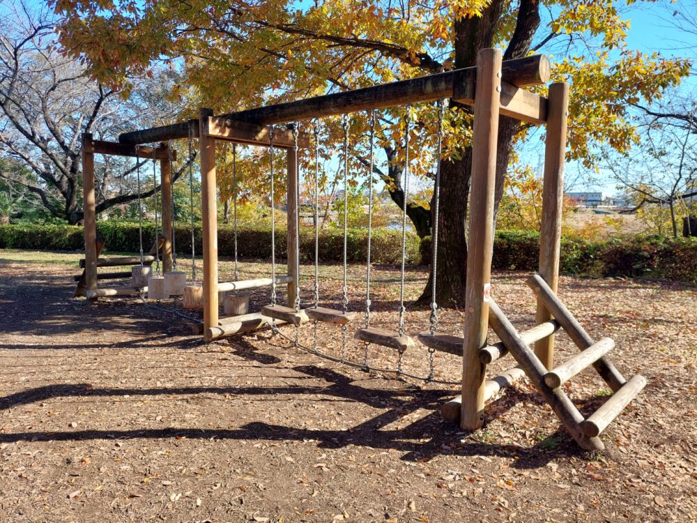 伊佐沼公園のアスレチック遊具