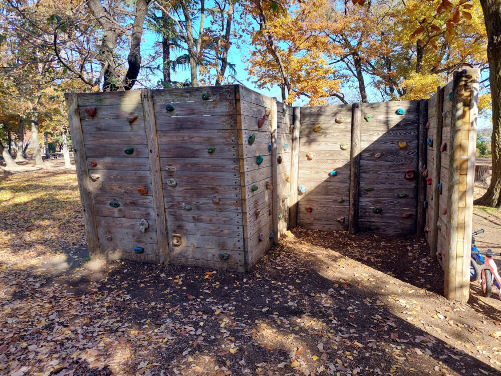 伊佐沼公園のアスレチック遊具