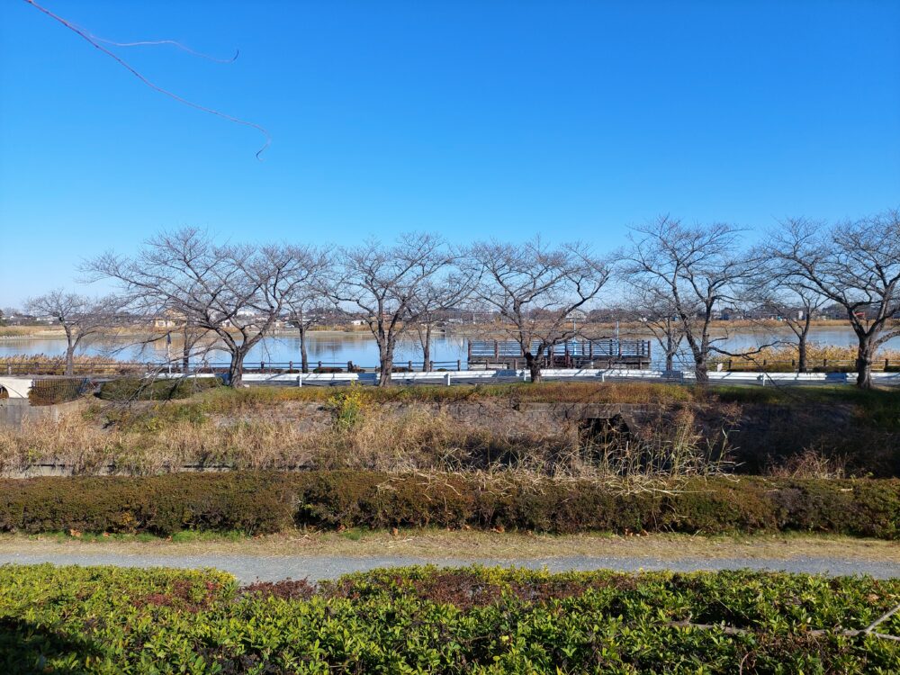 伊佐沼公園から見る伊佐沼
